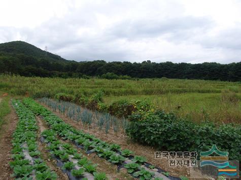 대표시청각 이미지