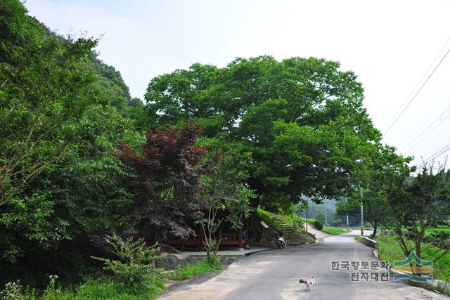 대표시청각 이미지